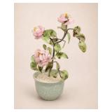 Chinese "Jade" Tree Flower Arrangement in Pot