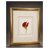 Framed Flower Print Signed and Numbered
