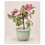 Chinese "Jade" Tree
