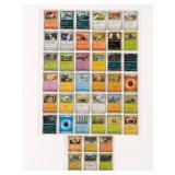 Pokï¿½mon Card Collection, 45 Cards