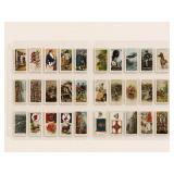 Early 20th Century Cigarette Cards