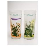 Arizona Cholla and Barrel Cactus Glasses