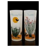 2 Arizona Cactus Themed Drinking Glass