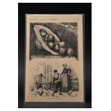 Harper's Bazar, 1875