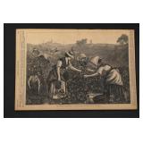 Lady's Journal, 1876 Print