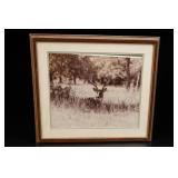 Framed Stag Wildlife Image