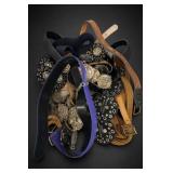 Lot of Assorted Belts and Decorative Waist Straps
