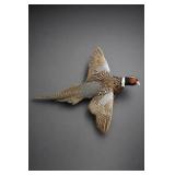 Mounted Male Ring-Necked Pheasant