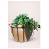 Potted Trailing Plant in Brown Planter