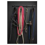 Lot of Assorted Horse Tack