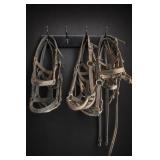 Lot of Equestrian Bridles