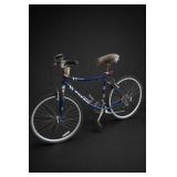 Hollywood Adult Bicycle, CatEye Computer