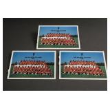 Atlanta Falcons 1981 Team Photo Prints