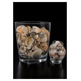 Shell-Filled Glass Vessel Collection