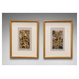 Kate DeOssie Unearthed Framed Art Pair