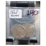 Qty 5 1920 Buffalo Nickel Group