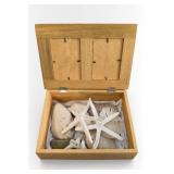 PLAID Memory Box 12466 With Seashells