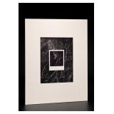 Abstract Marble-Effect Photograph 'Incestuous'