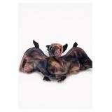 Ty Batty Beanie Baby Plush 1996
