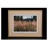 Signed Fireweed Sawatch Range Breckenridge CO Art