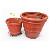Two Terracotta Garden Planters
