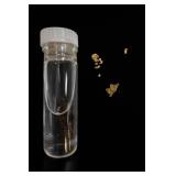 Panning Vial With Gold Flakes And Nuggets