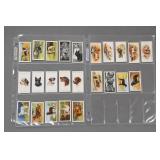 Vintage Dog Cigarette Cards Set, Carreras Gallaher