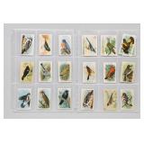 Useful Birds Of America Ninth Series Card Set