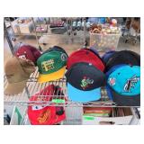 Marshall Thundering Herd & SCSU Cap Lot