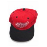 Detroit Red Wings, Tigers & Grizzlies 5 Caps
