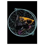 Assorted Sunglasses, 6 Pairs