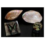 Forgotten Bones Originals Curio Set