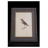 Framed Bird Print In Wood-Tone Frame