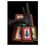 Framed Parrot Artwork Set, El Salvador C.A.