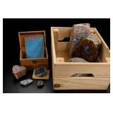 Rock & Mineral Collection With Display Boxes