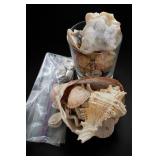 Seashell & Crystal Display Group