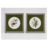 Framed Puerto Rico Bird Plates, Pair