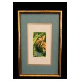 Packscattleya Laucha Framed Orchid Print