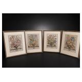 Robert Furber 12 Months Flowers, 4 Framed Prints