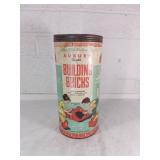 Auburn Flexible Building Blocks in Original Tube