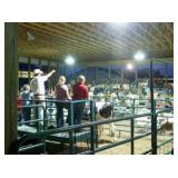 Berlin Fair 4H Livestock Auction