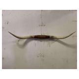 Longhorn Wall Mount