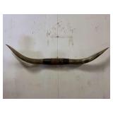 Longhorn Wall Mount