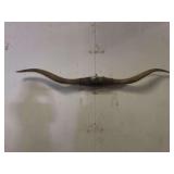 Longhorn Wall Mount