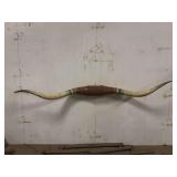 Longhorn Wall Mount