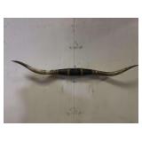 Longhorn Wall Mount