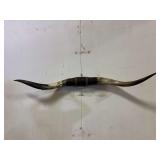 Longhorn Wall Mount