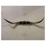 Longhorn Wall Mount