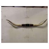Longhorn Wall Mount