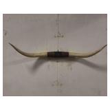 Longhorn Wall Mount